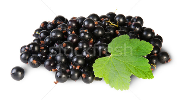 Bunch Of Black Currant With Leaf Rotated Stock photo © Cipariss