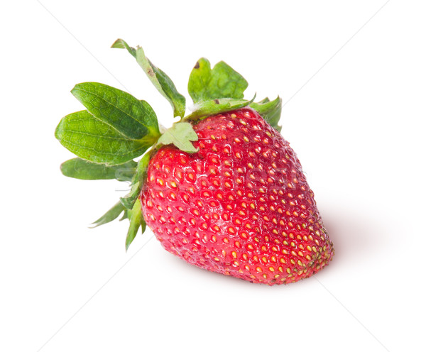 Single freshly strawberries Stock photo © Cipariss