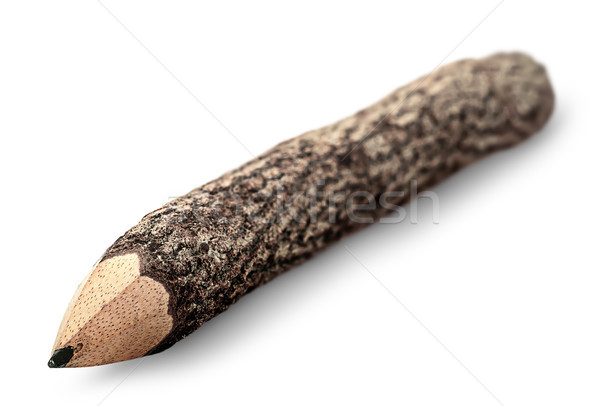 Unusual pencil in the form of logs Stock photo © Cipariss