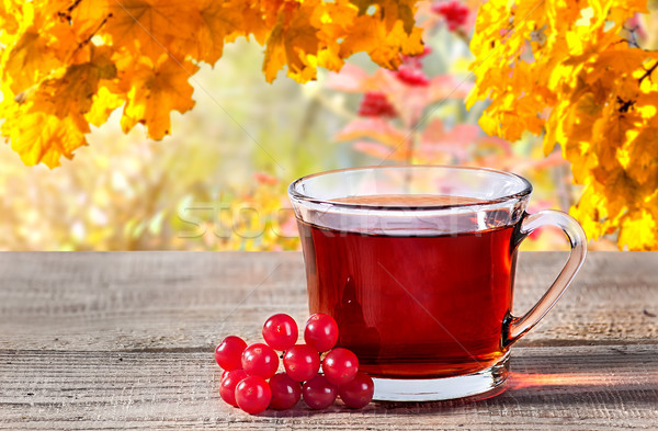 Cup of black tea with viburnum berries Stock photo © Cipariss