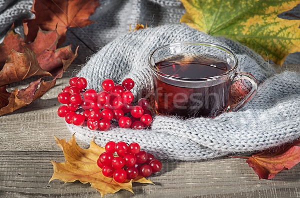 Black tea with a viburnum Stock photo © Cipariss
