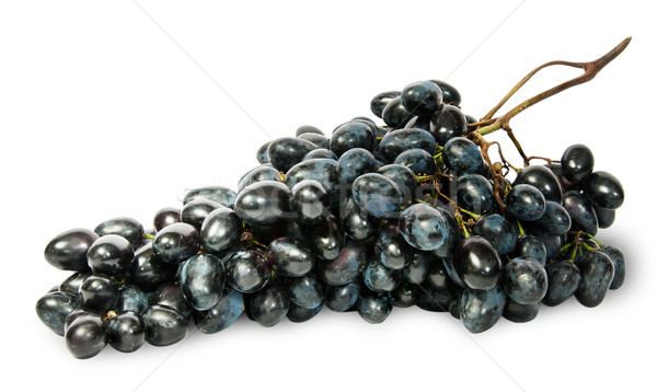 большой зрелый темно виноград изолированный Сток-фото © Cipariss