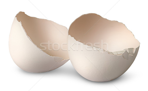 Two halves from crashed egg Stock photo © Cipariss