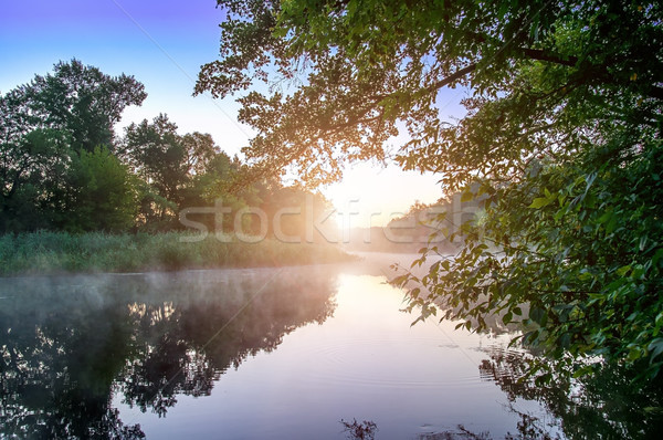 Reggel köd higgadt folyó Ukrajna víz Stock fotó © Cipariss