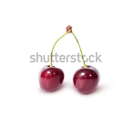 Two burgundy sweet cherries Stock photo © Cipariss