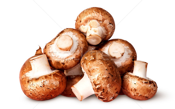 Proaspăt maro champignon izolat alb Imagine de stoc © Cipariss