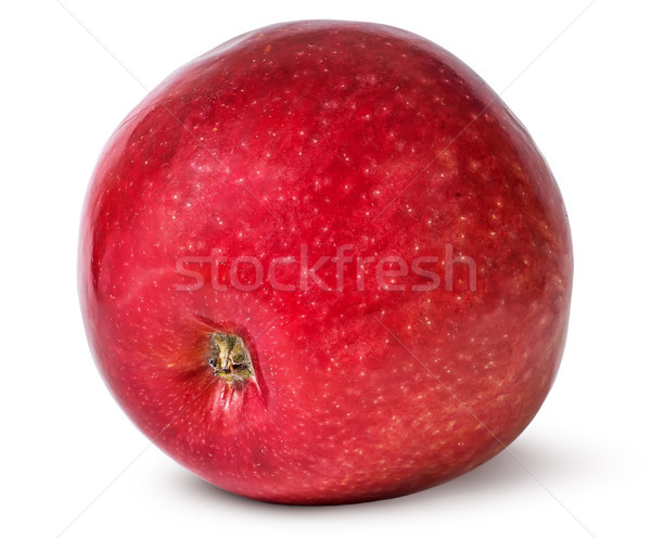 Kırmızı olgun elma alt görmek yalıtılmış Stok fotoğraf © Cipariss