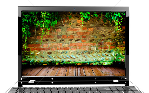 Laptop with wall Stock photo © cla78