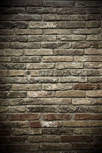 Wall of bricks Stock photo © cla78