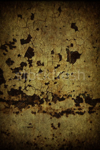 Enferrujado textura prato metal papel Foto stock © cla78