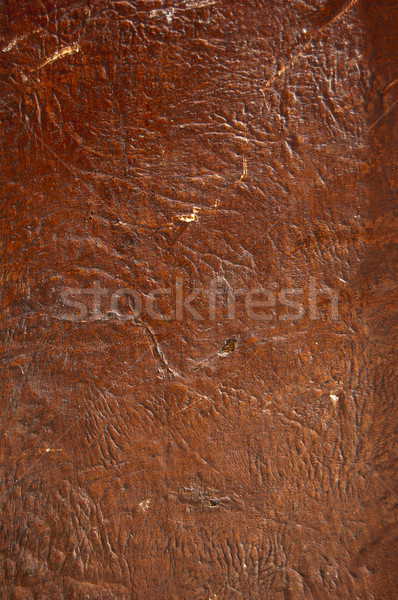 Leather Stock photo © cla78