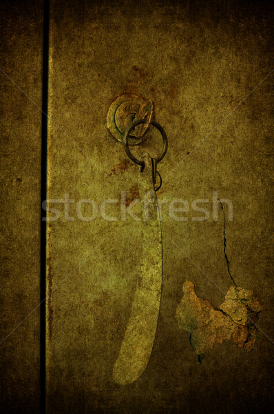 Stock fotó: Grunge · kulcs · ajtó · zárva · háttér · tányér