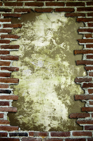 Frame with brick Stock photo © cla78