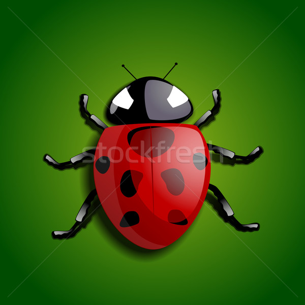 Realistic ladybug Stock photo © cla78