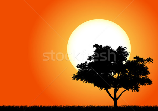 Silhouette Baum Sonnenuntergang Afrika Himmel Sonne Stock Foto C Claudio Gedda Cla78 Stockfresh