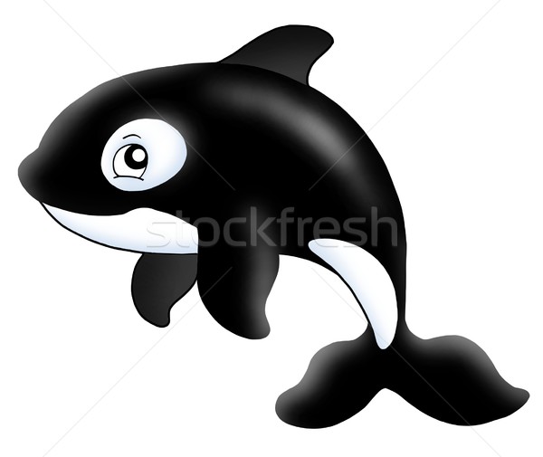 Asesino ballena blanco color ilustración agua Foto stock © clairev