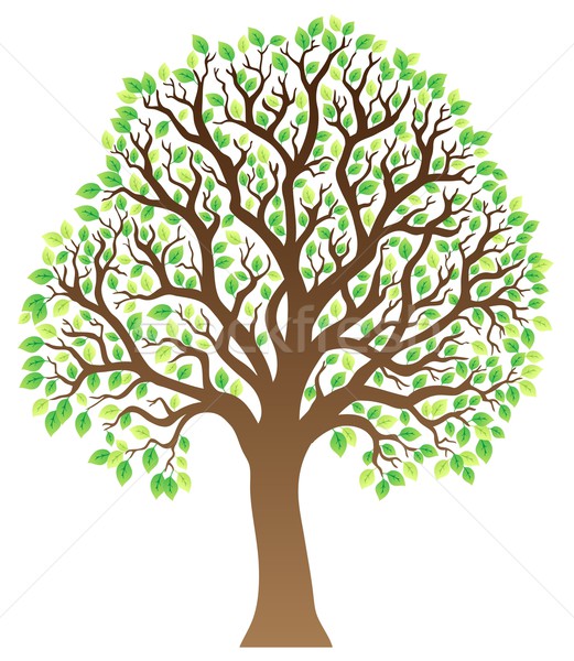 Tree with green leaves 1 Stock photo © clairev