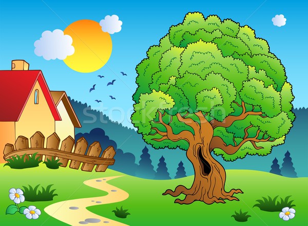 Meadow with big leafy tree Stock photo © clairev