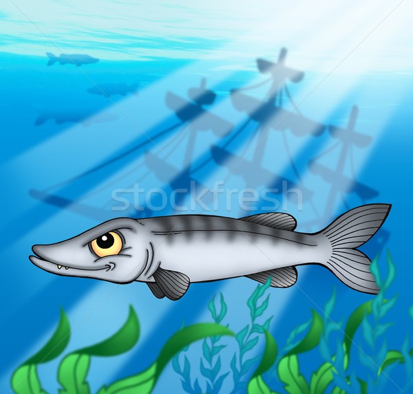 Wrak kolor ilustracja ryb morza niebieski Zdjęcia stock © clairev