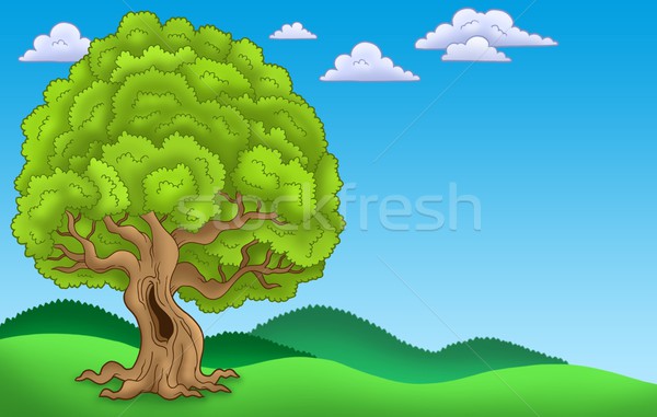 Landscape with big leafy tree Stock photo © clairev