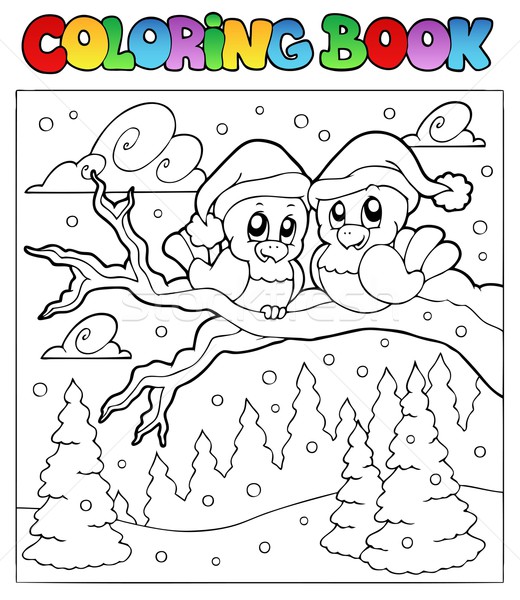 Coloring Book Two Winter Birds Vector Illustration C Klara Viskova