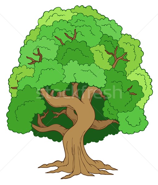 Green leafy tree Stock photo © clairev