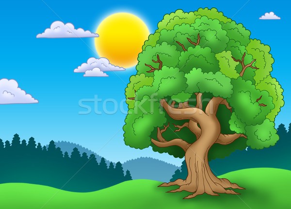 Green leafy tree in landscape Stock photo © clairev
