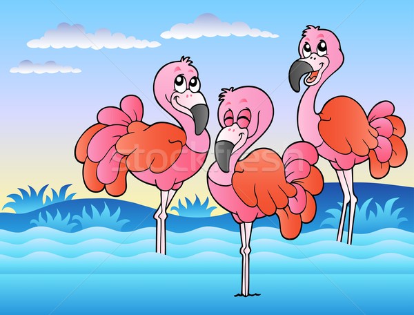 Three flamingos standing in water Stock photo © clairev