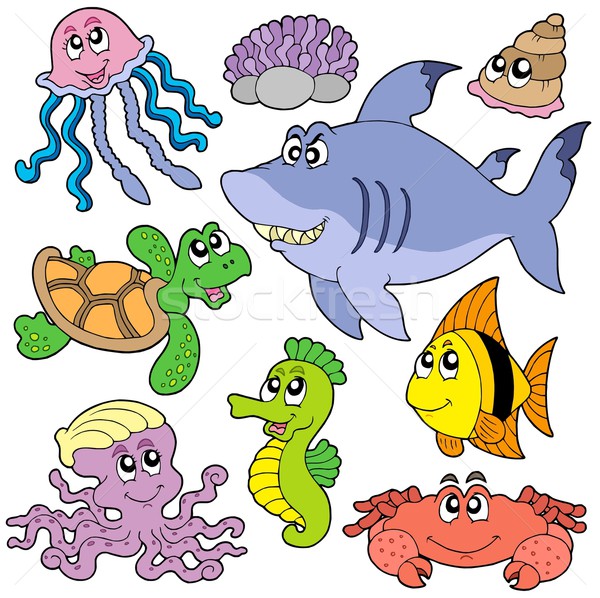 ストックフォト: 海 · 動物 · コレクション · 水 · 魚
