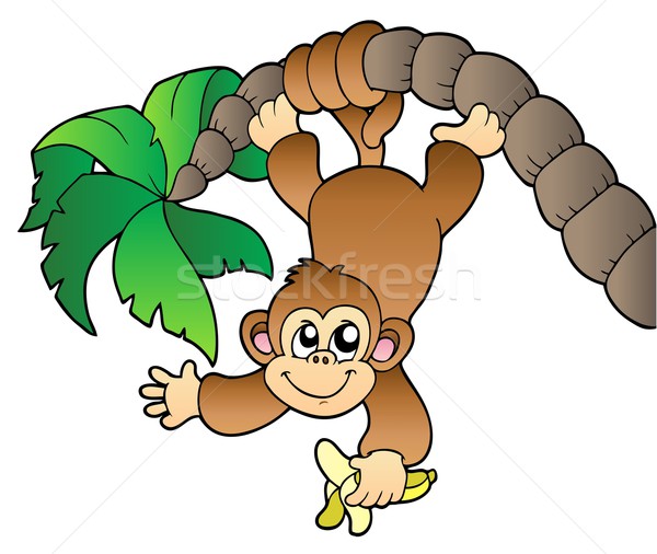 Monkey hanging on palm tree Stock photo © clairev