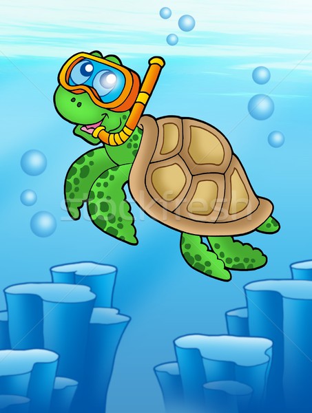 Sea turtle snorkel diver underwater Stock photo © clairev