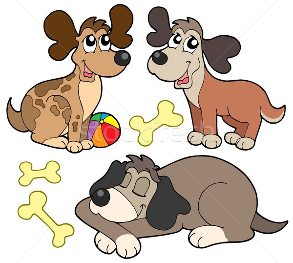 Foto stock: Bonitinho · cães · coleção · projeto · animais · cor