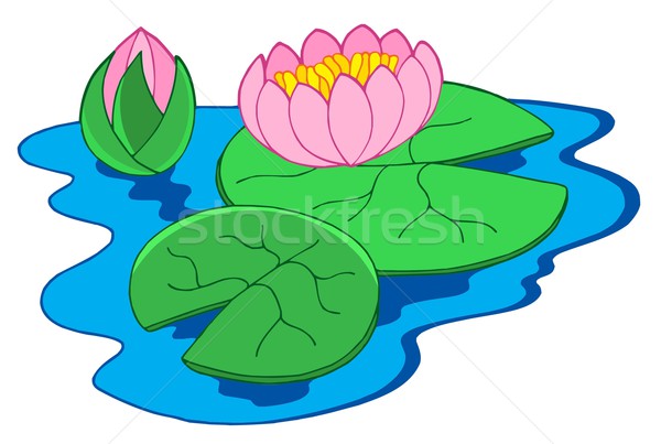 Stock photo: Pink water lilies