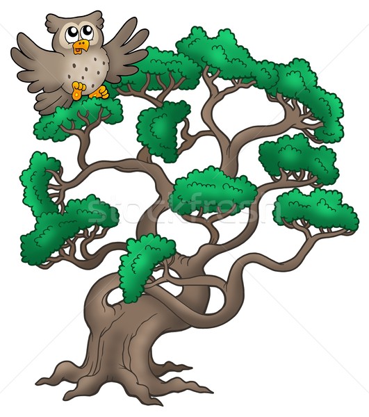 Big pine tree with cartoon owl Stock photo © clairev