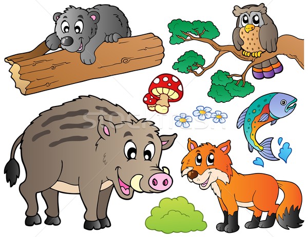 Forest cartoon animals set 1 vector illustration © clairev (#1017599) |  Stockfresh