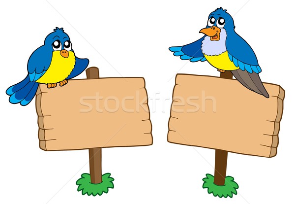 Dwa znaki ptaków niebieski zwierząt Zdjęcia stock © clairev