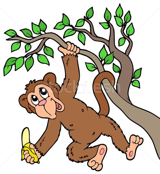 Monkey with banana on tree Stock photo © clairev
