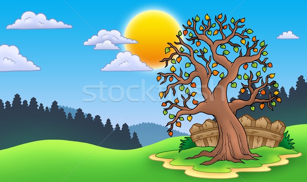 Leafy tree in autumn landscape Stock photo © clairev