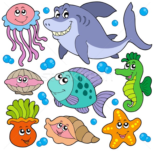 Aquatic animals collection Stock photo © clairev