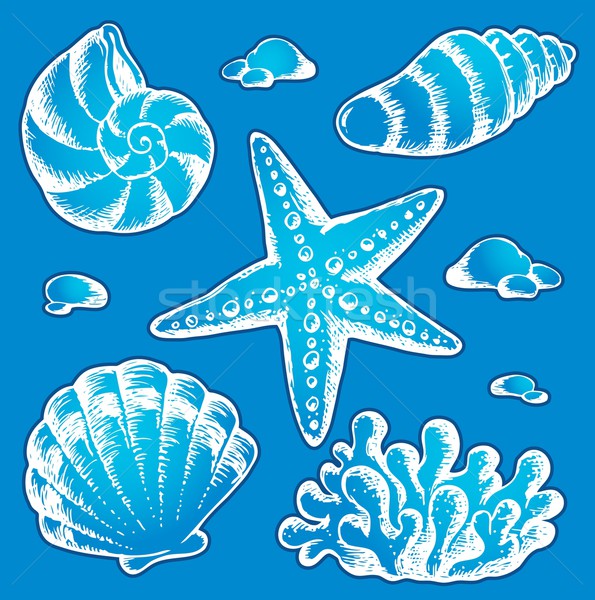Sea shells drawings 2 Stock photo © clairev
