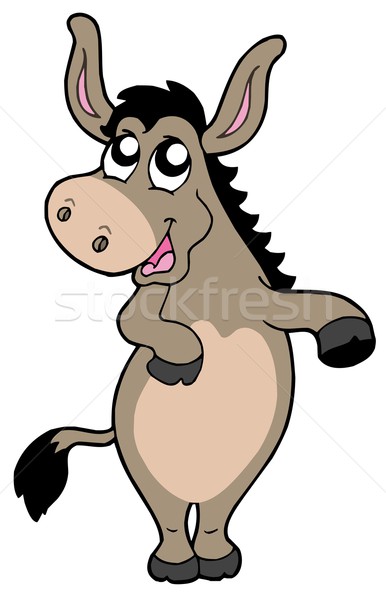 Funny Esel weiß Bauernhof Tiere Tier Stock foto © clairev