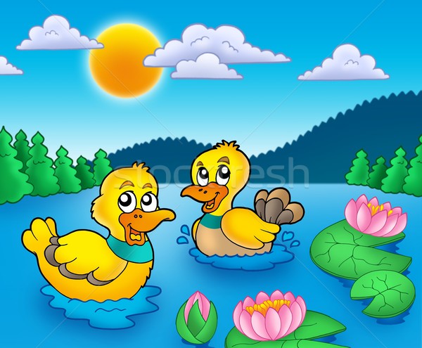 Two ducks and water lillies Stock photo © clairev
