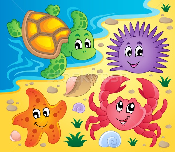 Stock photo: Beach with shells and sea animals 3