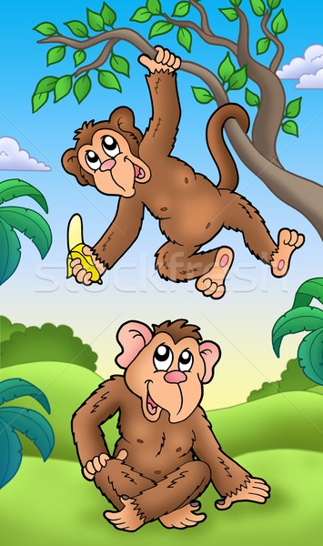 Deux cartoon singes couleur illustration arbre Photo stock © clairev