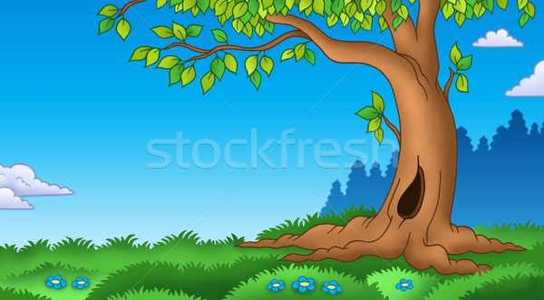 Leafy tree in grassy landscape Stock photo © clairev