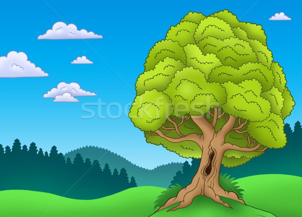 Big leafy tree in landscape Stock photo © clairev