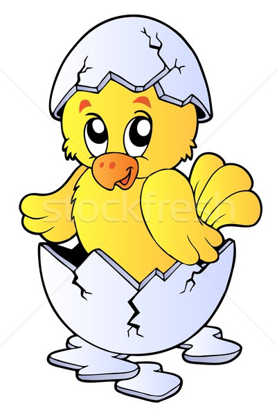 ストックフォト: かわいい · 鶏 · 壊れた · 卵殻 · 春 · 幸せ