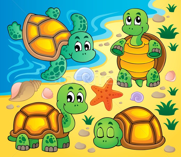 Image with turtle theme 2 Stock photo © clairev