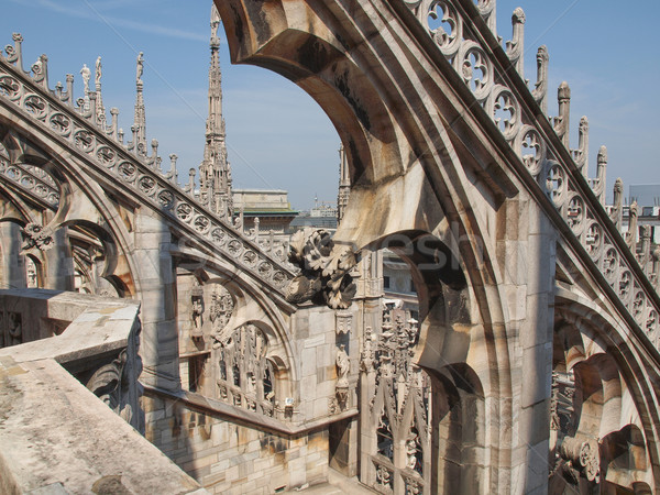 Duomo, Milan Stock photo © claudiodivizia
