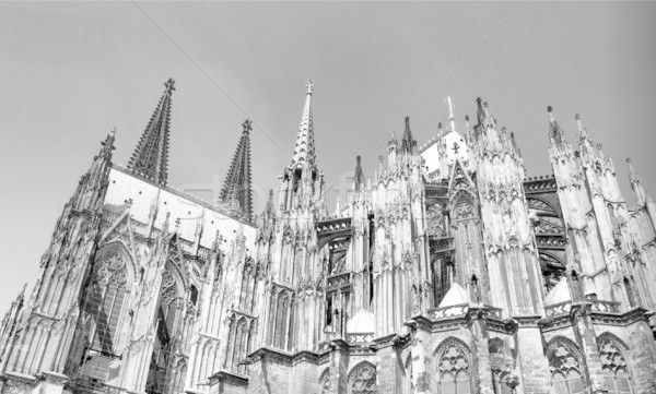 Kathedraal gothic kerk Duitsland hoog Stockfoto © claudiodivizia